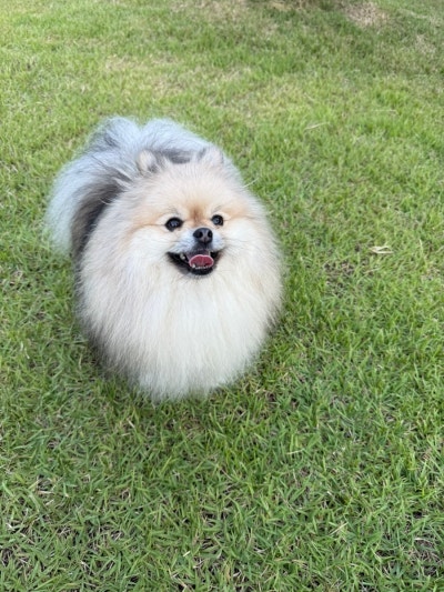 사진 2
