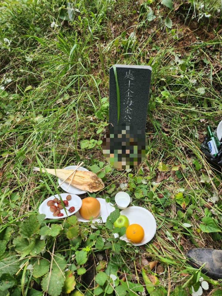  묘지 개장 현장기록-부산 대연동