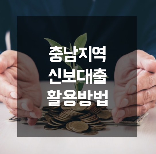  충남 신보대출 활용법 숨겨진 기업 성장 기회와 금융 혜택 집중 해부