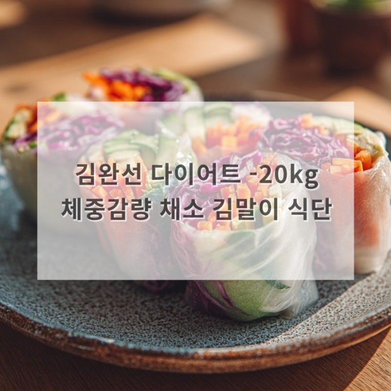 김완선 다이어트 -20kg 40대 50대 체중감량 채소 김말이 라이스페이퍼 김밥 식단 레시피
