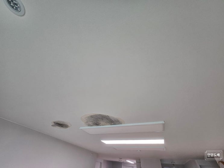  [안양도배] 동안구 비산동 평촌 아파트 거실 천장 실크벽지 누수도배 시공