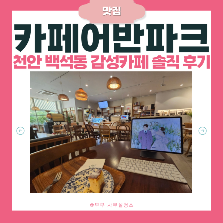  천안 백석동 디저트맛집 감성카페 '카페어반파크' | 드립커피(산미,고소)·바스크치즈케익 솔직 후기