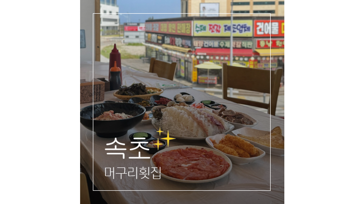  속초 카시아 근처 맛집 애견동반 식당 머구리횟집 대포항 뷰 대게 코스