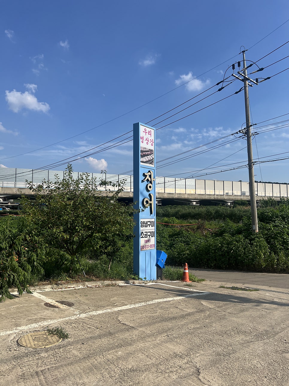 우리영산강장어 사진 1