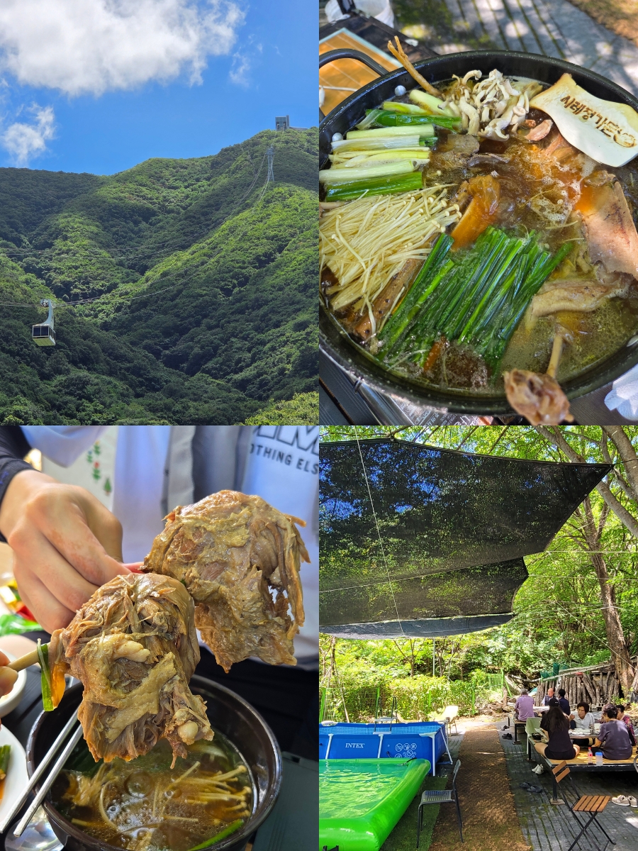 시례정가든 사진