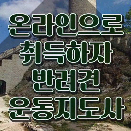  40대남자자격증 , 반려견운동지도사 동영상 과정으로 최단기간 준비하는 전략