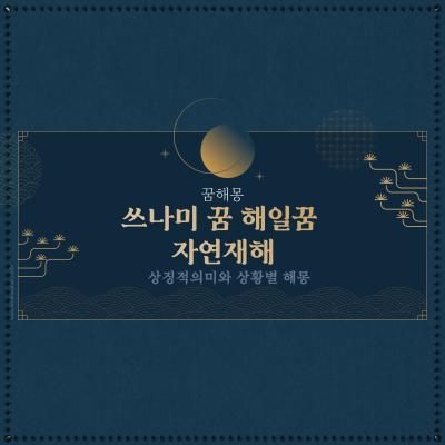  쓰나미 꿈 해일꿈 자연재해 해몽 총정리