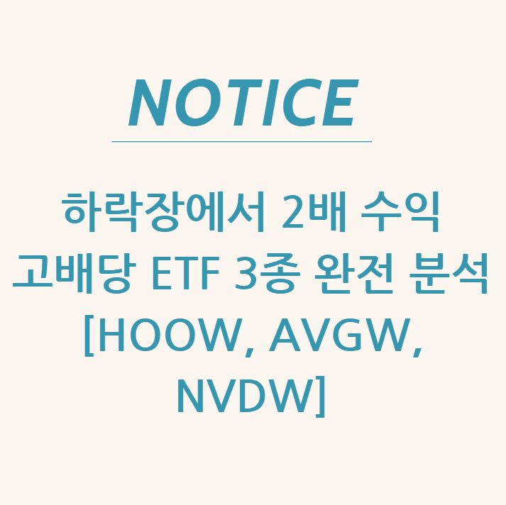  하락장에서 2배 수익 고배당 ETF 3종 완전 분석 [HOOW, AVGW, NVDW]