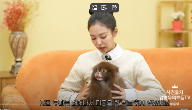 퍼피하우스