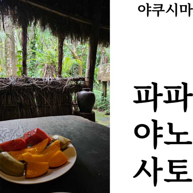  [야쿠시마여행]열대과일을 맛볼수있는 파파야노사토 영업시간 방문 후기
