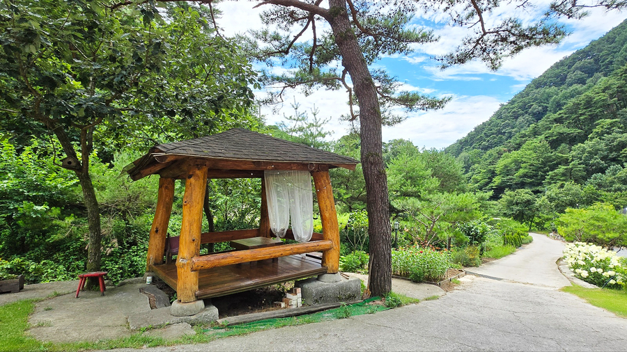 솔마루펜션 사진 3