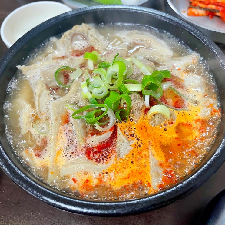  #250804 4박5일 제주도여행 - 산지해장국 노형직영점