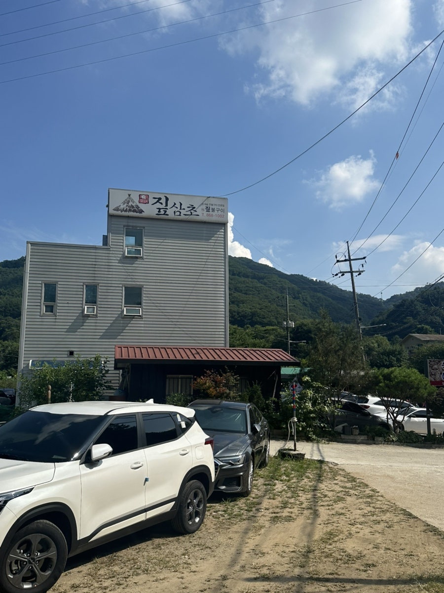 짚삼초 사진 2