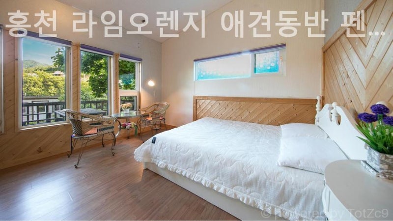 사진 4