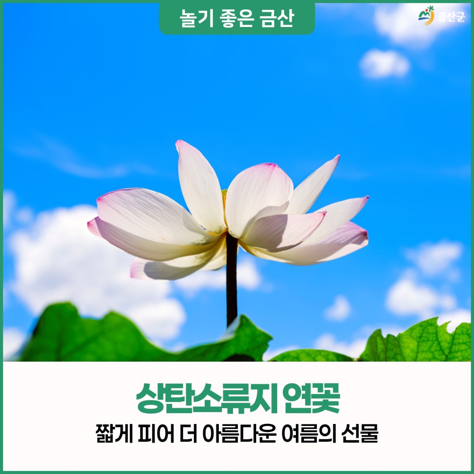 상탄소류지 사진 1