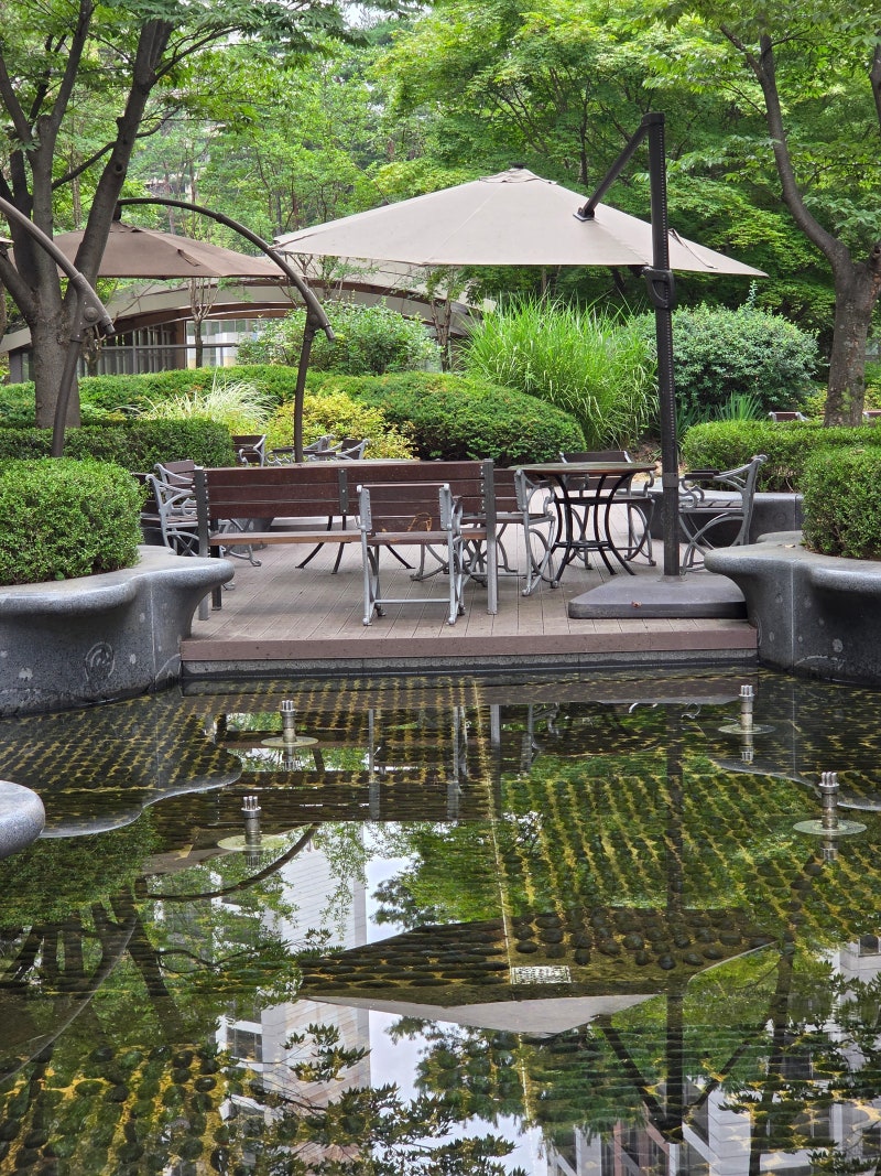 정책지식 2025.8.4. : 네이버 블로그