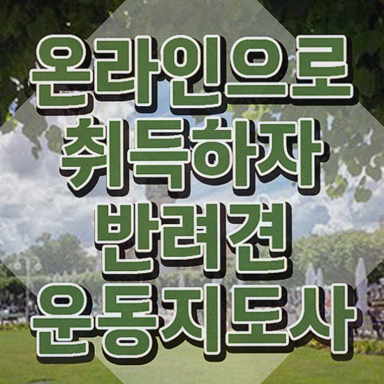  , 반려견운동지도사 인강만 듣고 독학으로 고졸 비전공자도 빠르게 끝냈던 비법