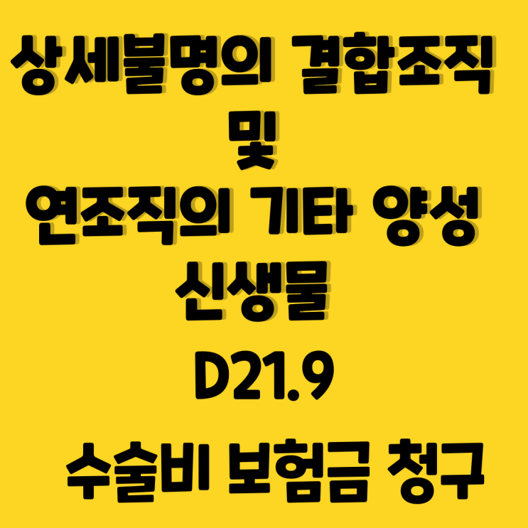  결합조직 및 연조직의 기타 양성신생물(피부양성종양)! 치료비 보장!!