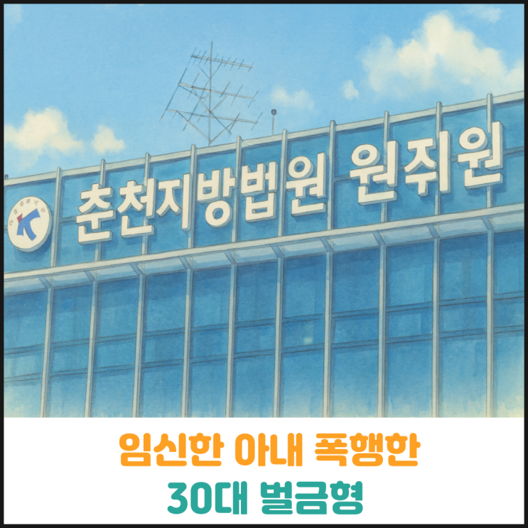  임신한 아내 폭행한 30대 벌금형
