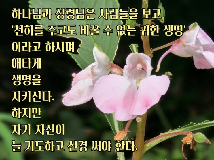  jms 정명석목사 잠언 ㅡ 신경 써야 한다