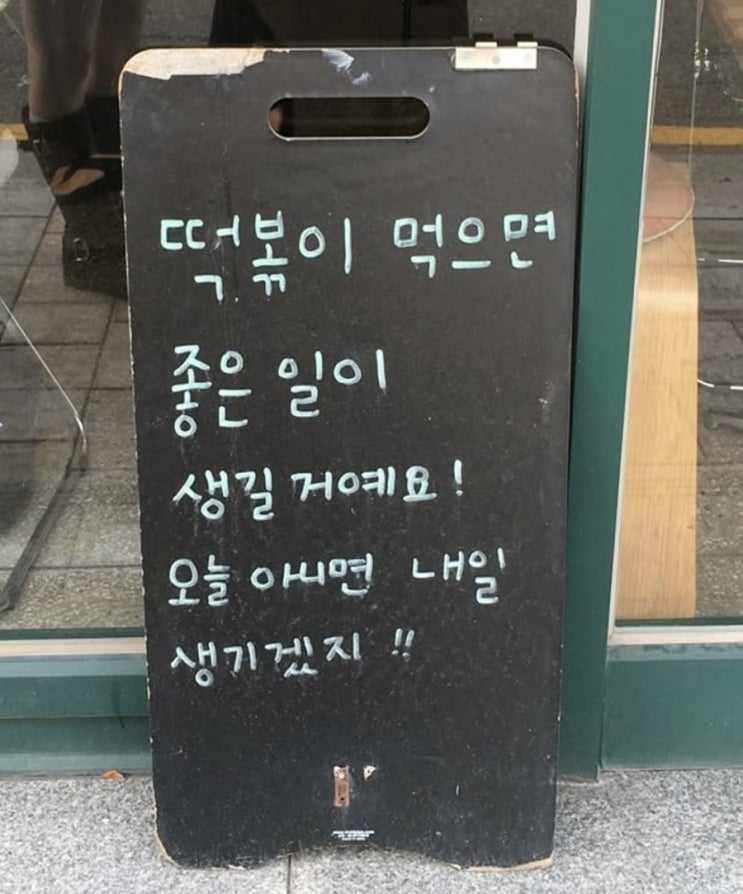  콩이 일상 모음집