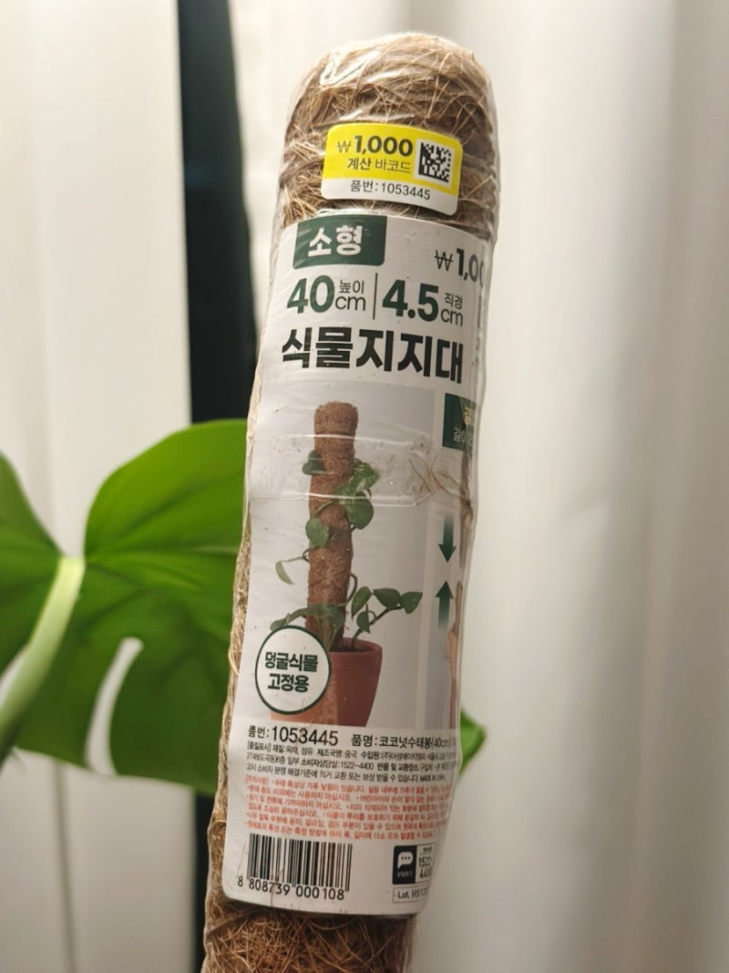 다이소 식물지지대 ㅣ 몬스테라 지지대로 강력추천
