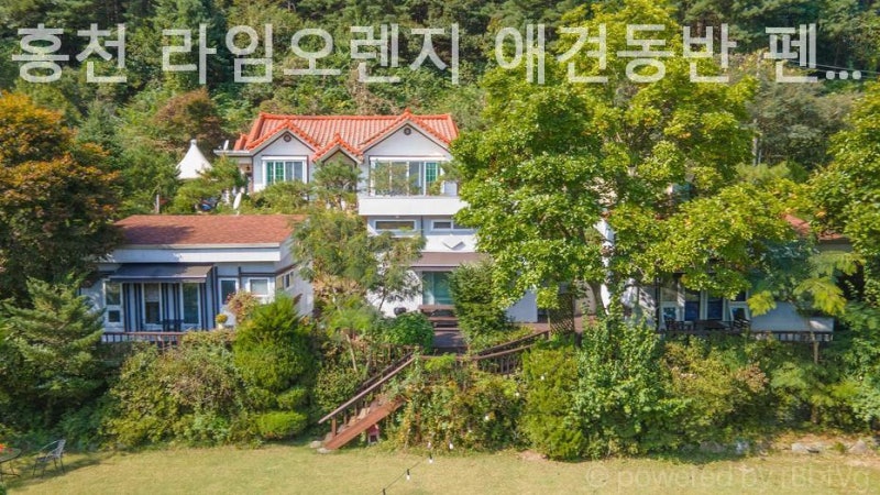 사진 3