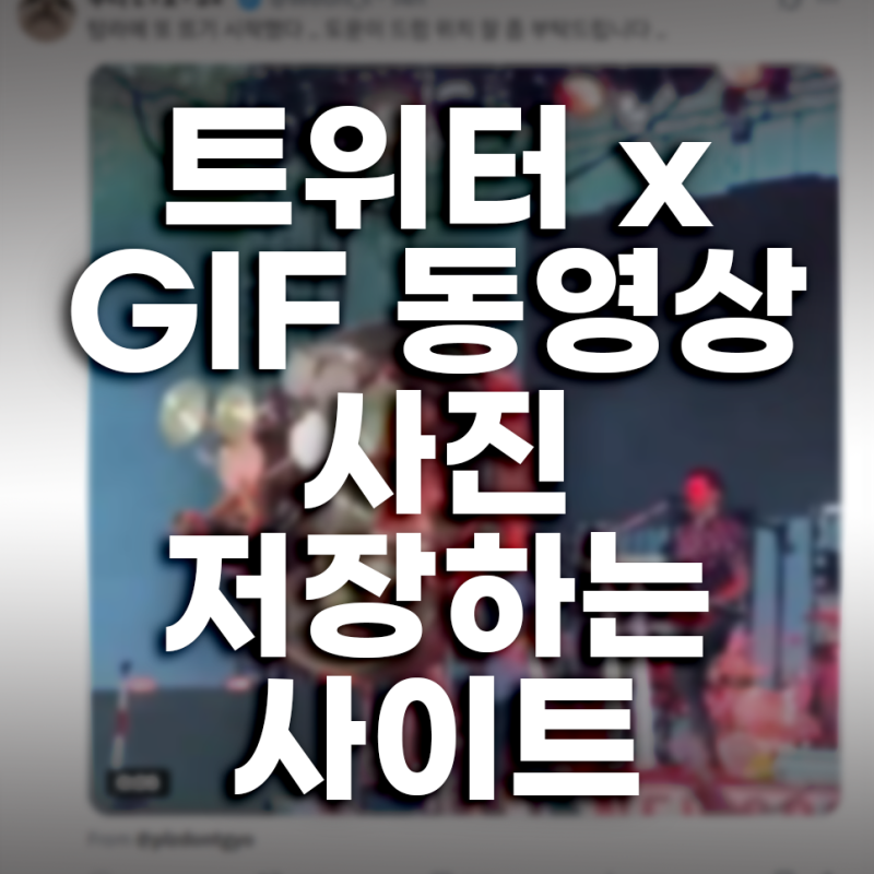 트위터 x GIF 동영상 사진 저장하는 사이트 무료로 가능