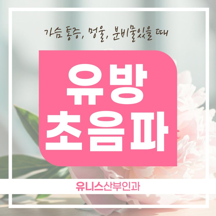  장한평역산부인과, 유방초음파 미루지 말고 점검하세요