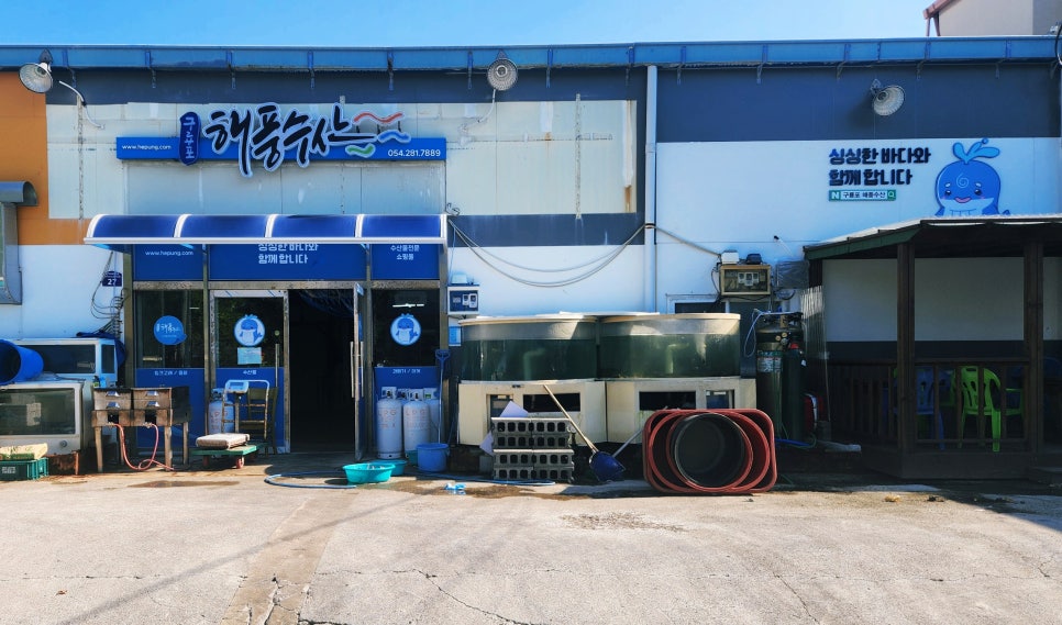 밍크고래와 참다랑어 사진 1