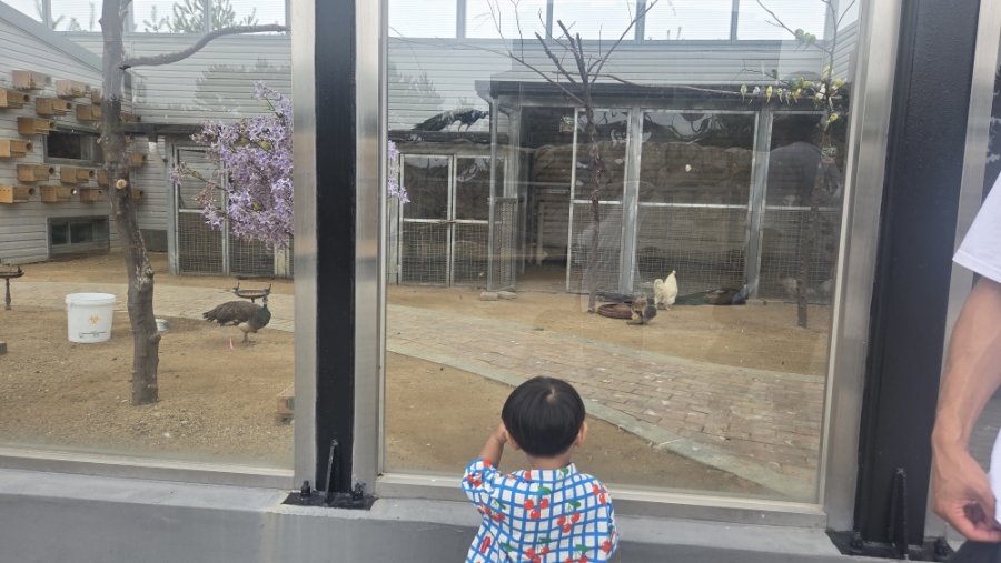센트럴호텔 사진 5