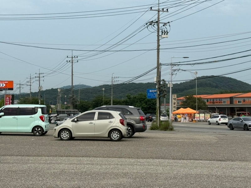 사진 5