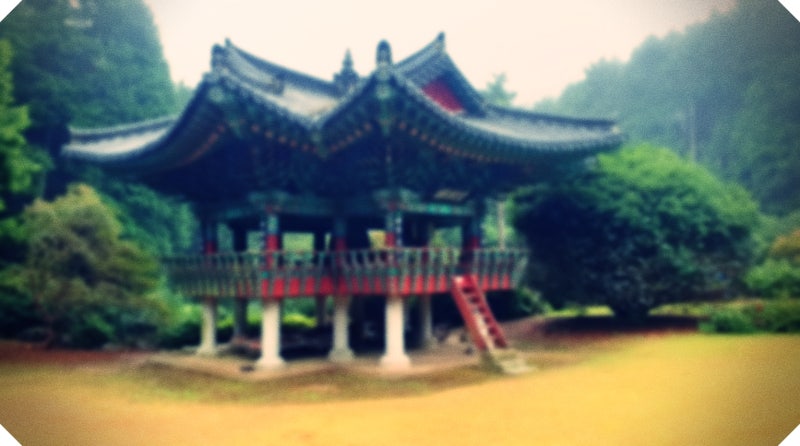 사진 7