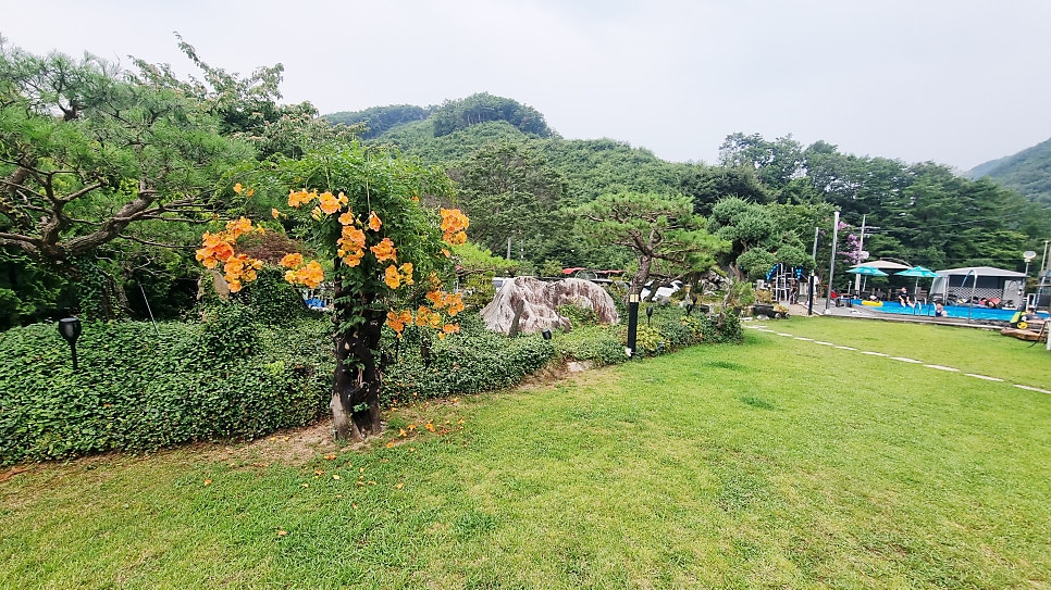 힐링펜션 사진 2