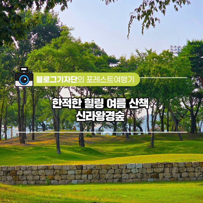 사진 6