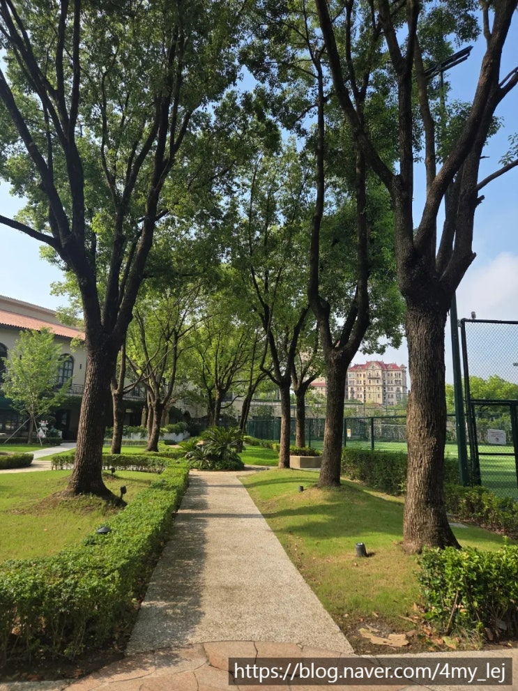  20250804~0810_상하이 날씨예보