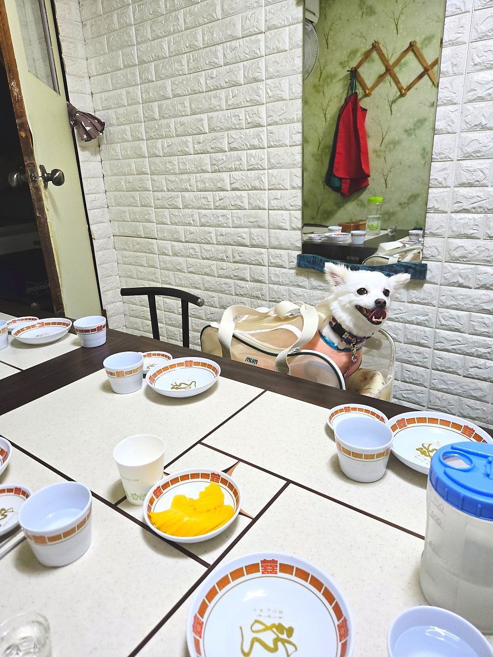 호화반점 사진 6