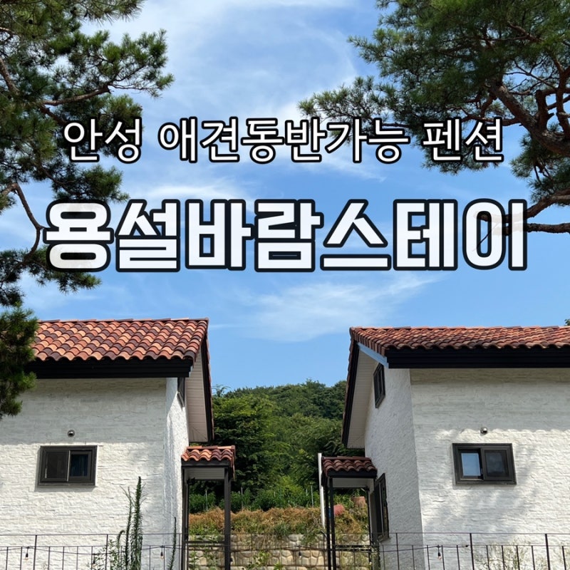 사진 6
