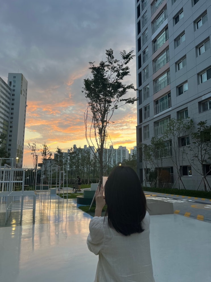  7월 일상 기록 #1