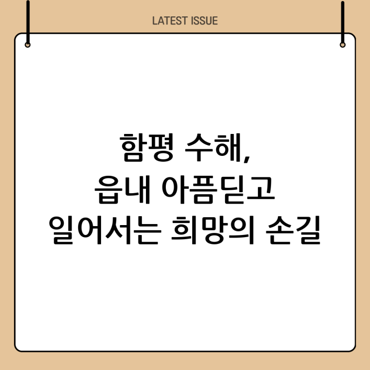  함평 읍내 수해 현황과 복구 노력: 함께 극복해 나가요