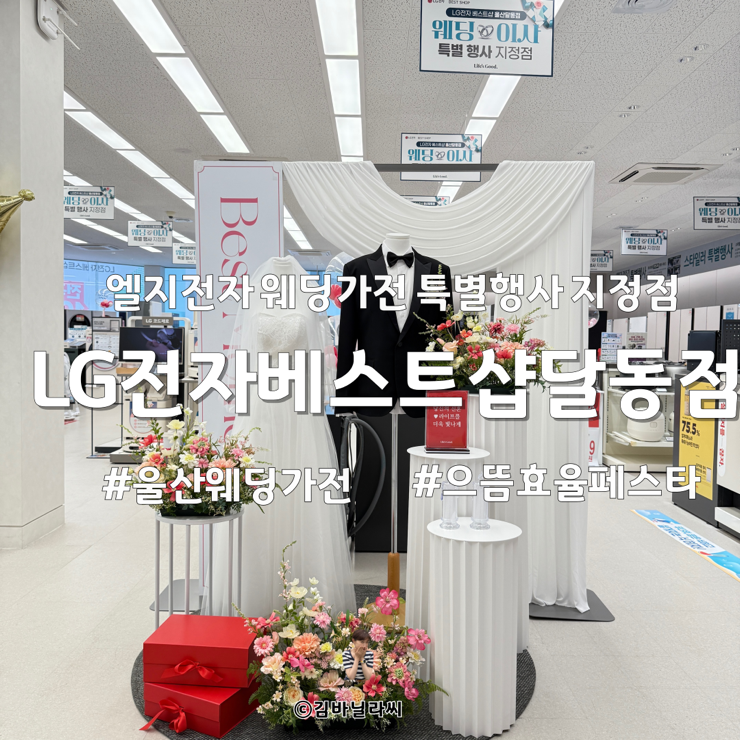 울산 달동 가전 LG전자베스트샵 달동점 웨딩가전 특별전 으뜸효율 페스타