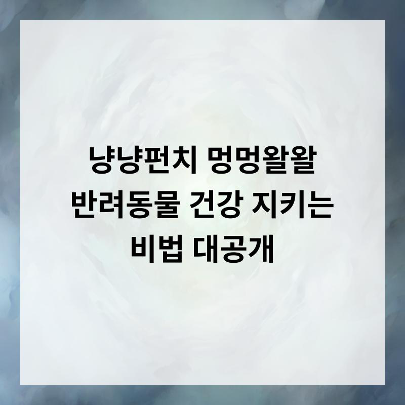 사진 5