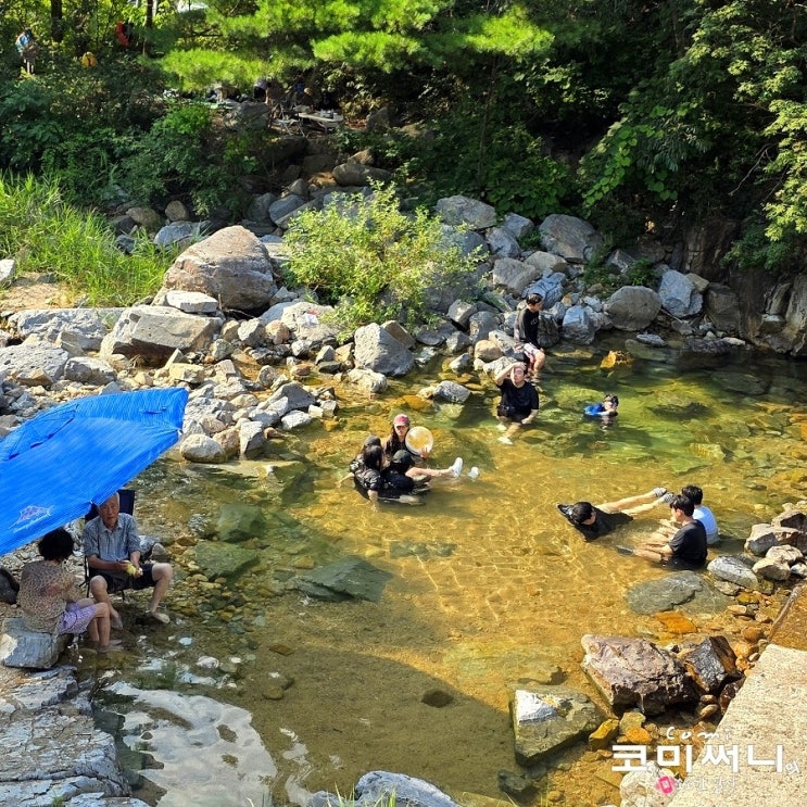  붐비지 않아서 좋았던 괴산 사담계곡 무료 스팟 당일 물놀이 추천지 (평상 대여 물놀이 정보)