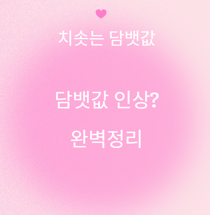 담뱃값인상 얼마나 오르나?