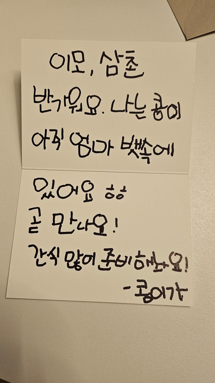  임신6주차｜ 가족들에게 임밍아웃 다이소로 간단히 준비, 심장소리 듣고 온 날