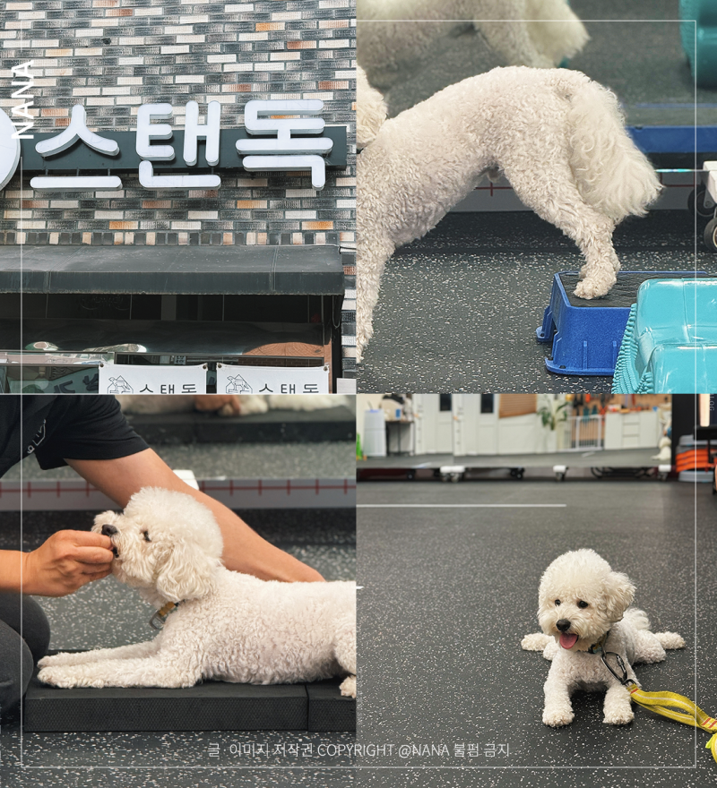 사진 10