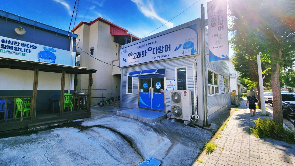밍크고래와 참다랑어 사진 2