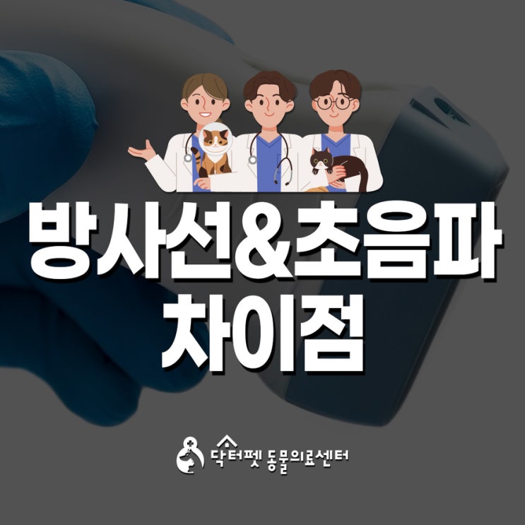 강아지 심장병부터 슬개골 탈구까지! 엑스레이 & 초음파 검사로 알 수 있는 질병들