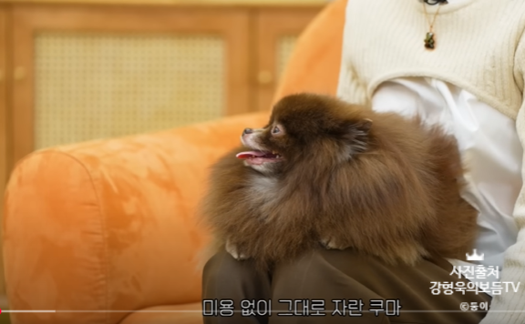 사진 2