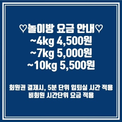 사진 2